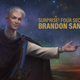 An illustration of a magical figure, arm outstretched, beneath text that reads "Surprise! Four Secret Novels Brandon Sanderson"